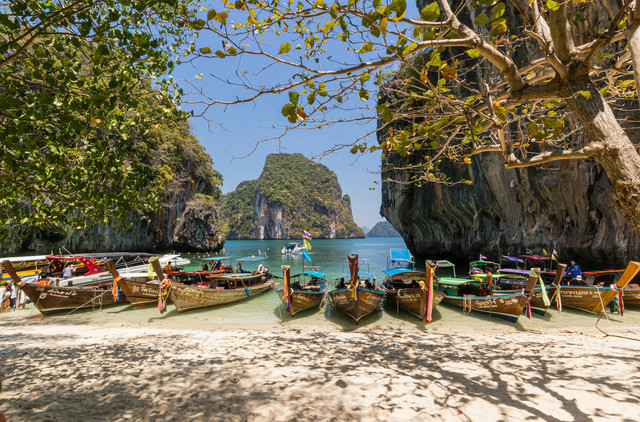 Holiday Packages